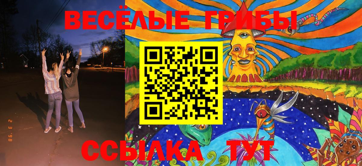 Галлюциногенные грибы Magic Shrooms  Псилоцибиновые грибы мицелий  Вход с VPN  Дивногорск 