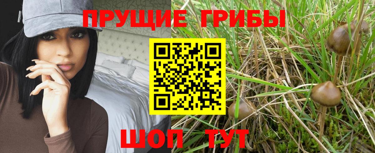 Галлюциногенные грибы GOLDEN TEACHER Дивногорск